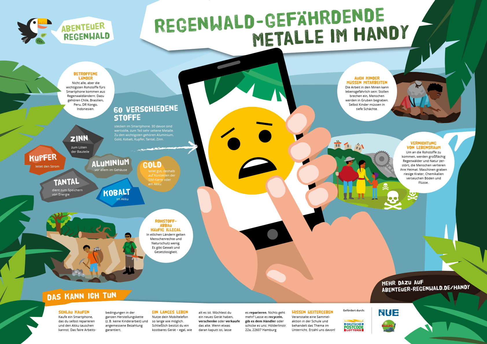 AR Handy Regenwald