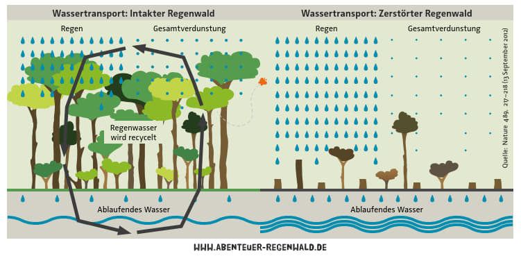 AR Wasserkreislauf